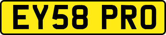 EY58PRO