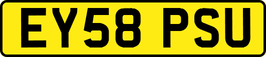 EY58PSU