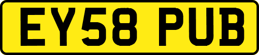 EY58PUB