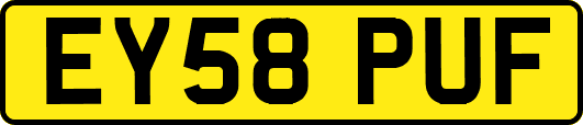 EY58PUF