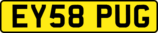 EY58PUG