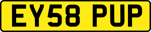 EY58PUP