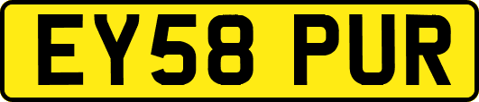 EY58PUR