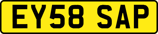 EY58SAP