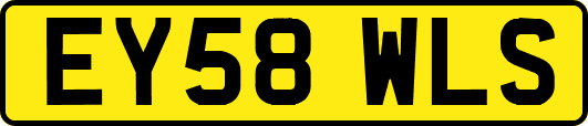 EY58WLS