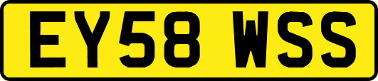 EY58WSS
