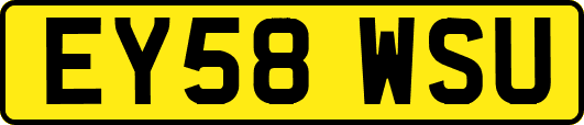 EY58WSU
