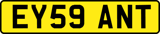 EY59ANT