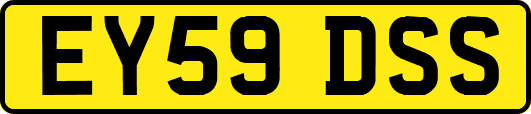 EY59DSS