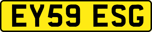 EY59ESG