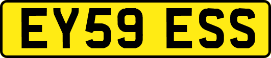 EY59ESS