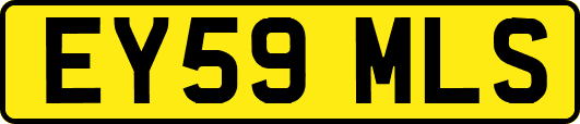 EY59MLS