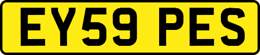 EY59PES