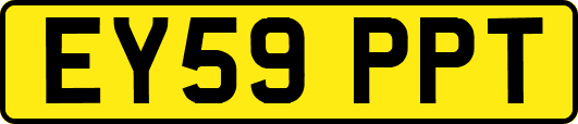 EY59PPT