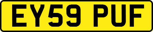 EY59PUF