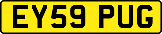 EY59PUG