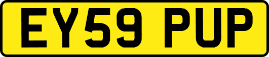 EY59PUP