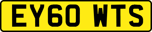 EY60WTS