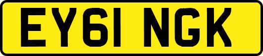 EY61NGK