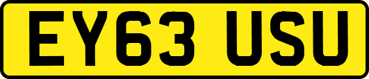 EY63USU