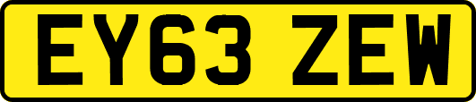 EY63ZEW