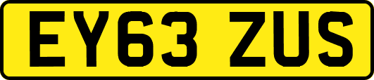 EY63ZUS