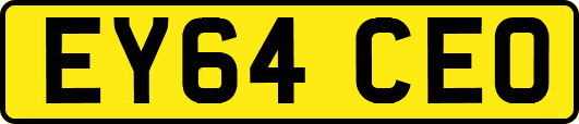 EY64CEO