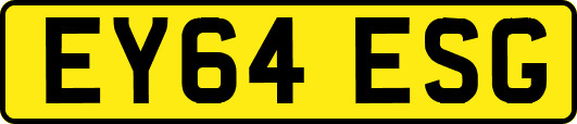 EY64ESG