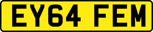 EY64FEM