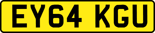 EY64KGU