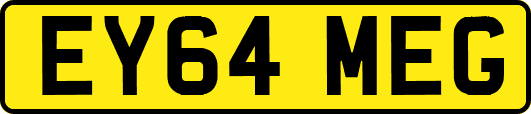 EY64MEG