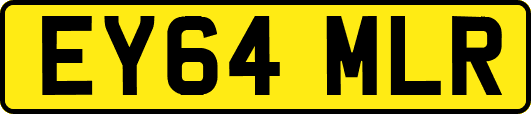 EY64MLR