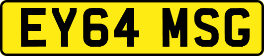 EY64MSG