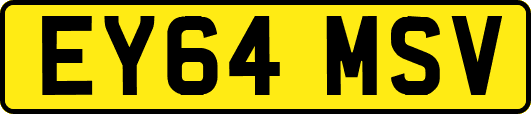 EY64MSV