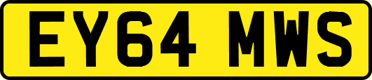 EY64MWS
