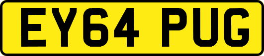EY64PUG