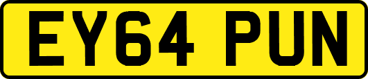 EY64PUN
