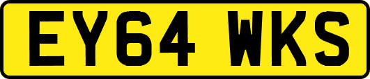 EY64WKS