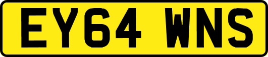 EY64WNS