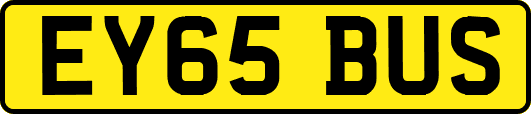 EY65BUS