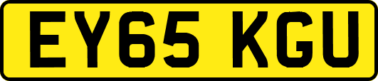 EY65KGU