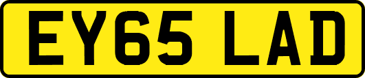 EY65LAD