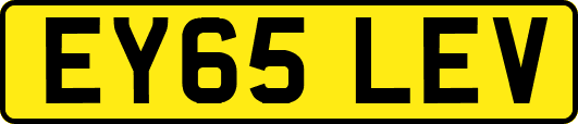 EY65LEV