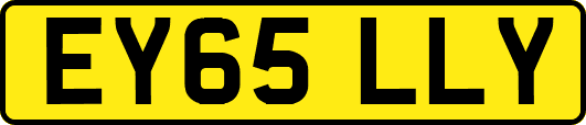 EY65LLY