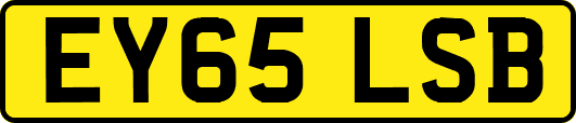 EY65LSB