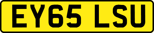 EY65LSU