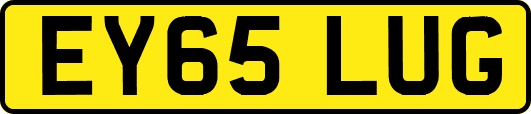 EY65LUG