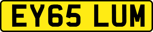 EY65LUM
