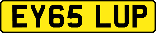 EY65LUP