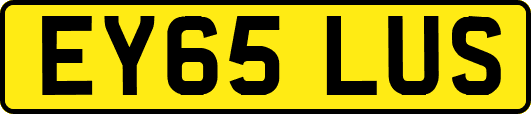 EY65LUS